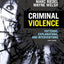 Criminal Violence: Patterns, Explanations, and Interventions