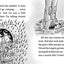Campfire Stories (8) (Desmond Cole Ghost Patrol)