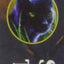 Warriors: Shadows of the Clans (Warriors Novella)