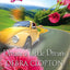 Dream a Little Dream (Mule Hollow Matchmakers, Book 4)