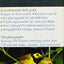 The Audubon Society Field Guide To North American Birds: Eastern Region