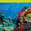 In the Ocean (National Geographic Kids Readers, Level 1/Co-Reader)