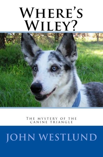 Where's Wiley?