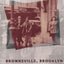 Brownsville, Brooklyn: Blacks, Jews, and the Changing Face of the Ghetto (Historical Studies of Urban America)