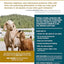 Storey's Guide to Raising Dairy Goats, 5th Edition: Breed Selection, Feeding, Fencing, Health Care, Dairying, Marketing