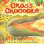 Cross Crocodile (African Animal Tales)