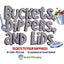 Buckets, Dippers, and Lids