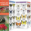 Butterflies & Moths: A Folding Pocket Guide to Familiar North American Species (A Pocket Naturalist Guide)