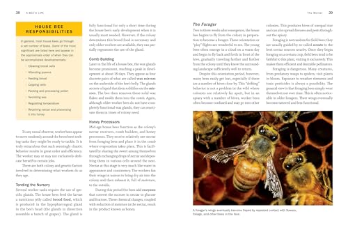 Storey's Guide to Keeping Honey Bees, 2nd Edition: Honey Production, Pollination, Health (Storeys Guide to Raising)