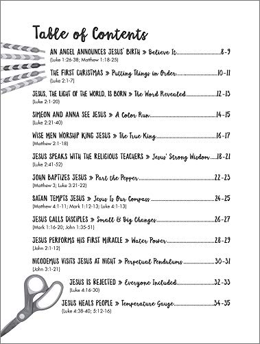 Sciency-Fun WOWS!: 54 Surprising Bible Object Lessons (for ages 8-12)