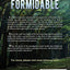 But Not Formidable: A Clint Wolf Novel (Clint Wolf Mystery Series)