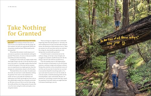 We Love You: An Optimistic Guide to Life on a Rock Floating Through Space
