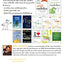 Will Shortz Presents Tame Sudoku