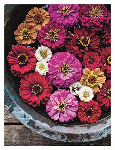 In Bloom: Growing, Harvesting, and Arranging Homegrown Flowers All Year Round (CompanionHouse Books) Create a Perfect Garden of Color, Texture, & Shape with Annuals, Perennials, Shrubs, Trees, & More