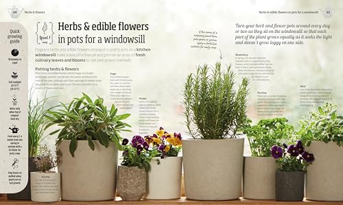 Indoor Edible Garden: Creative Ways to Grow Herbs, Fruits, and Vegetables in Your Home