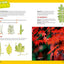 Ultimate Explorer Field Guide: Trees