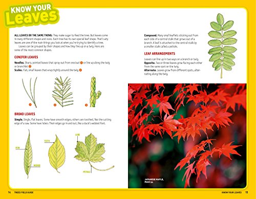 Ultimate Explorer Field Guide: Trees