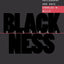 Blackness Visible: Essays on Philosophy and Race (Cornell Paperbacks)