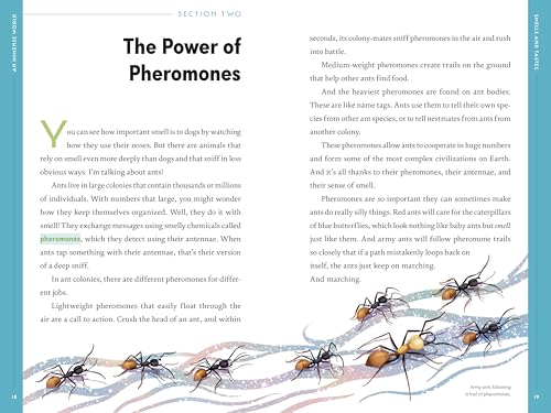 An Immense World (Young Readers Edition): How Animals Sense Earth's Amazing Secrets