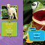National Geographic Kids Just Joking: 300 Hilarious Jokes, Tricky Tongue Twisters, and Ridiculous Riddles
