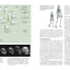 The Human Past: World Prehistory and the Development of Human Societies