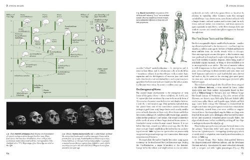 The Human Past: World Prehistory and the Development of Human Societies