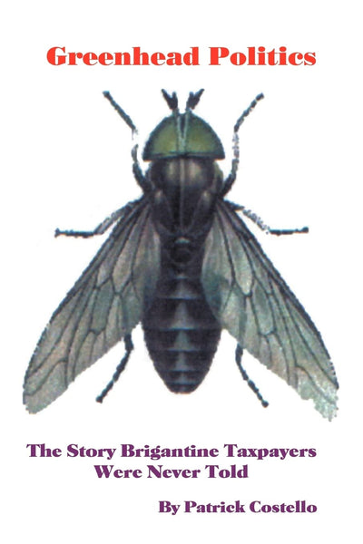 Greenhead Politics: The Story Brigantine Taxpayers Were Never Told