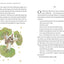 The Little Prince (Colour Illustrations)