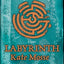 Labyrinth (The Languedoc Trilogy)