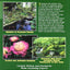 All About Creating Japanese Gardens