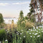 Windcliff: A Story of People, Plants, and Gardens