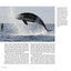 Orca: Shared Waters, Shared Home