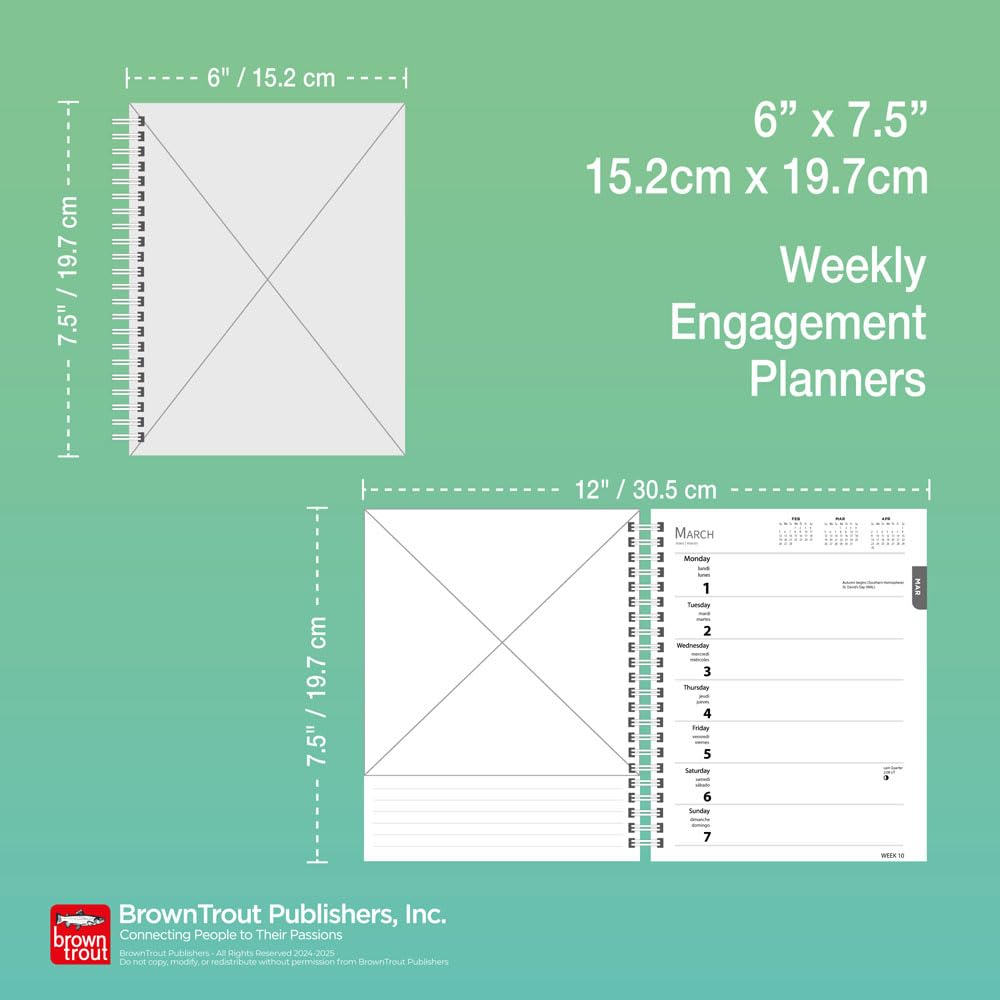 Dachshunds  2025 6 x 7.75 Inch Spiral-Bound Wire-O Weekly Engagement Planner Calendar  New Full-Color Image Every Week  BrownTrout  Animals Dog Breeds Pets