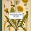 Vintage Botanical Prints: Eighth Edition