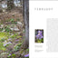 A Year at Brandywine Cottage: Six Seasons of Beauty, Bounty, and Blooms