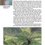Handy Pocket Guide to Tropical Plants