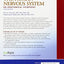 Barr's The Human Nervous System: An Anatomical Viewpoint