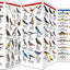 Montana Wildlife: A Folding Pocket Guide to Familiar Animals (Wildlife and Nature Identification)