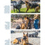 The Midnight Dog Walkers: Positive Training and Practical Advice for Living with Reactive and Aggressive Dogs (CompanionHouse Books) Help Your Dog Recover from Fear and Anxiety, and Enjoy Walks Calmly