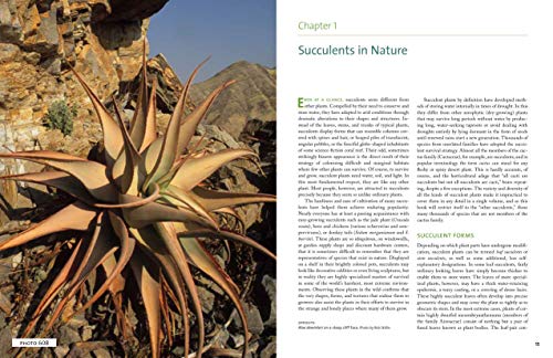 The Timber Press Guide to Succulent Plants of the World: A Comprehensive Reference to More than 2000 Species