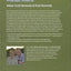 Animals of the Masai Mara (Wildlife Explorer Guides)