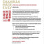 Chinese Grammar Made Easy: A Practical and Effective Guide for Teachers
