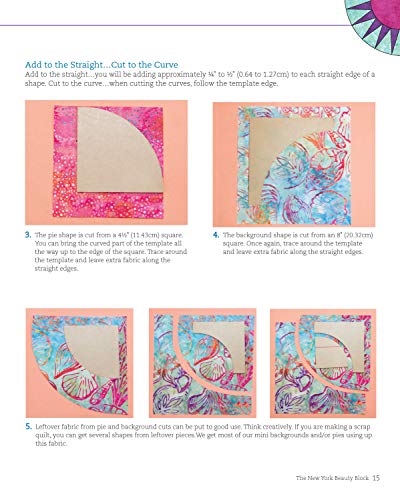 New York Beauty Quilts Electrified: 12 Fun, Skill-Building Projects Using Easy Foundation Paper-Piecing Techniques to Electrify New York Beauty Blocks (Landauer) Sequel to Simplified & Diversified