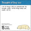 Thoughts of Dog 2022 Day-to-Day Calendar