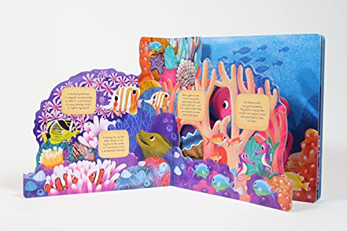 Discovering the Secret World: Coral Reef (Happy Fox Books) Board Book Teaches Kids Ages 3-6 about a Reef, Diving Deeper into the Sea with Every Page, with Educational Fun Facts