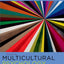 Multicultural Psychology: Understanding Our Diverse Communit