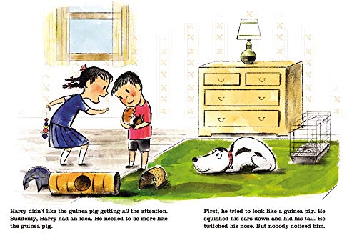 Harry and the Guinea Pig