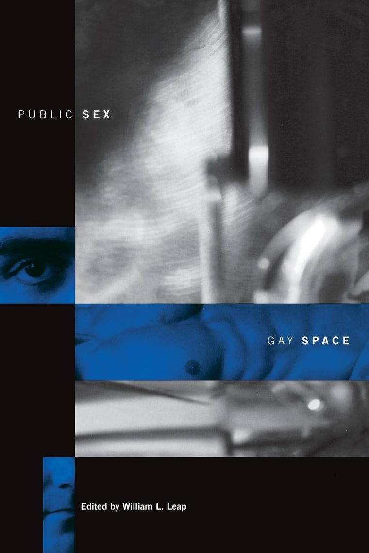 Public Sex/Gay Space (Between Men-Between Women: Lesbian and Gay Studies)