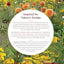 Growing Bulbs in the Natural Garden: Innovative Techniques for Combining Bulbs and Perennials in Every Season