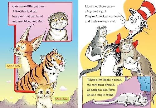 What Cat Is That? All About Cats (The Cat in the Hat's Learn